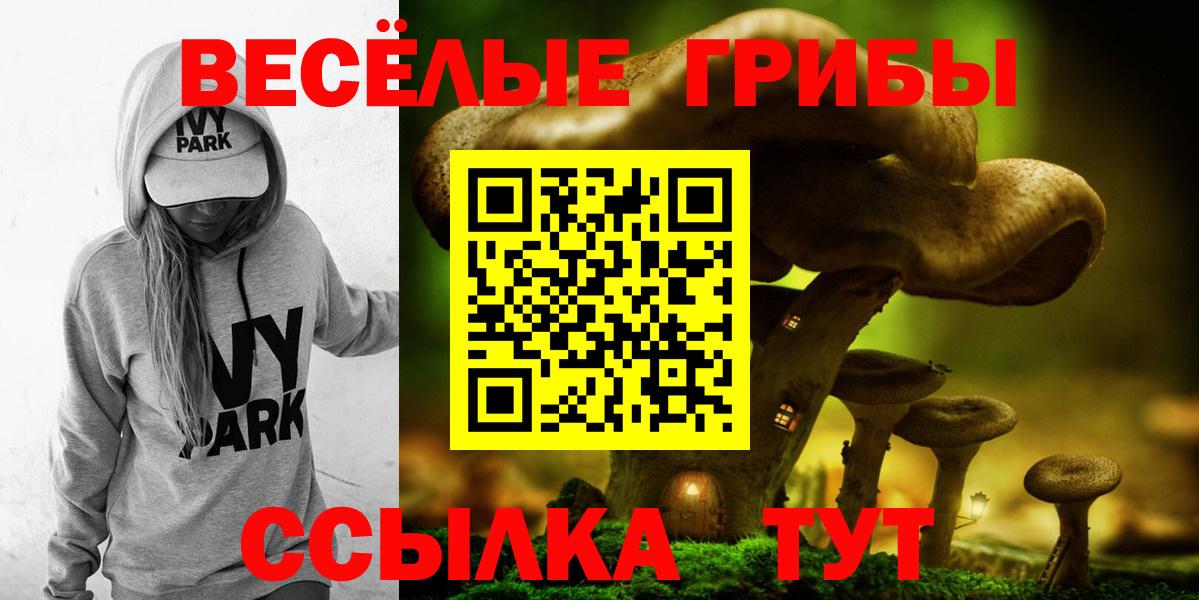 Губкинский  Псилоцибиновые грибы Psilocybine cubensis  Вход с VPN 